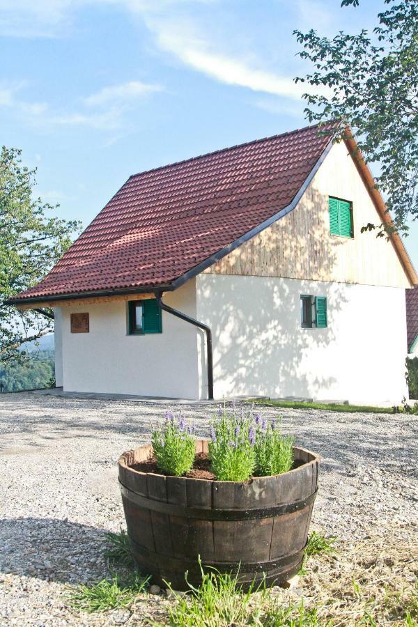 Vila Loni Zgornja Kungota Extérieur photo
